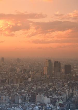 空き家管理のことならここに依頼